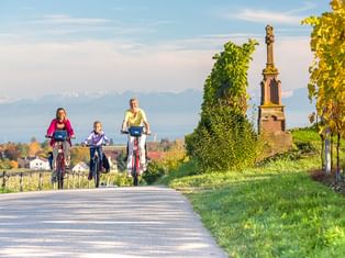 Drei Radfahrer auf asphaltiertem Weg durch Weinberge am Bodensee. Steinmonument und Dorf im Hintergrund unter blauem Himmel sichtbar.