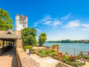 Eltviller Kurfürstliche Burg mit weißem Turm am Rheinufer. Überdachter Holzgang und bunte Blumengärten säumen die Uferpromenade.