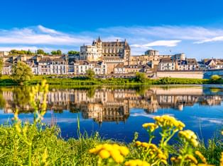 Château d'Amboise und historische Stadt spiegeln sich in der Loire unter blauem Himmel. Gelbe Wildblumen rahmen die Ansicht im Vordergrund.