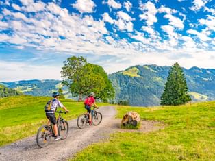 Zwei Radfahrer auf einem Schotterweg durch grüne Wiesen bei Oberstaufen, mit bewaldeten Bergen und blauem Himmel mit vereinzelten Wolken.