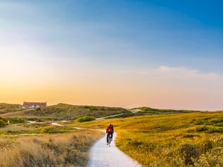 Radfahrer auf weißem Sandweg durch Dünenlandschaft mit gelb blühender Vegetation am Strand von Formerum, Insel Terschelling.