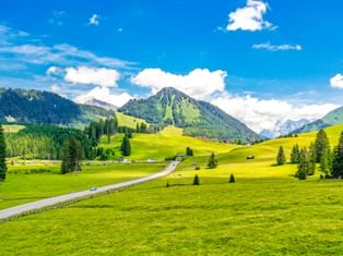 Straße durch grüne Wiesen mit verstreuten Bäumen und Bauernhäusern in Imst, Tirol. Berge und Wälder unter blauem Himmel mit weißen Wolken.