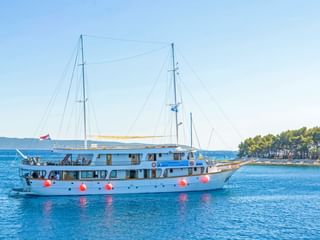 Weißes Passagierschiff Amore mit zwei Masten und roten Fendern in ruhigem blauen Wasser. Bewaldete Küste im Hintergrund unter klarem Himmel.