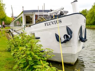 Weißes Flusskreuzfahrtschiff MS Fluvius am grasbewachsenen Flussufer vertäut. Zwei dekorative Anker hängen am Bug. Bäume säumen das Ufer.