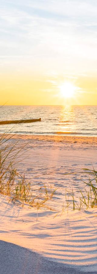 Sanddünen mit Strandgras bei Sonnenuntergang auf Usedom. Goldenes Licht beleuchtet die Ostsee mit einer Holzbrücke am Horizont.