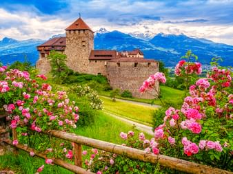 Schloss Vaduz auf einem grünen Hügel mit rosa Rosen im Vordergrund und schneebedeckten Bergen im Hintergrund unter bewölktem Himmel.