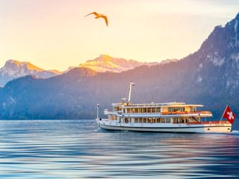 Weißes Passagierschiff mit Schweizer Flagge auf dem ruhigen Genfer See bei Sonnenaufgang, mit schneebedeckten Alpen und Vogel im goldenen Himmel.