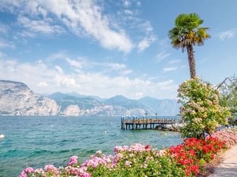 Uferpromenade in Brenzone mit bunten Blumen, Palme und Holzsteg. Gardasee mit Bergen im Hintergrund unter blauem Himmel.