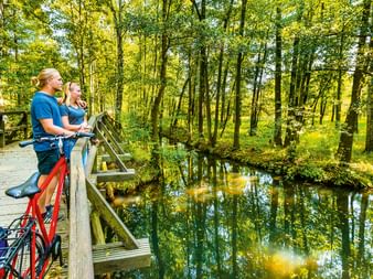 Zwei Radfahrer mit roten Fahrrädern auf einer Holzbrücke im Spreewald, mit Blick auf einen ruhigen Waldbach mit Spiegelungen der Bäume.