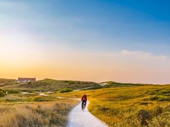 Radfahrer auf weißem Sandweg durch goldene Dünen auf der Insel Terschelling. Häuser auf entfernten Dünen unter blauem Himmel am Strand von Formerum.
