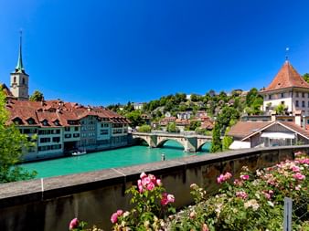Historische Berner Altstadt entlang der türkisfarbenen Aare mit Kirchturm, bunten Häusern, Steinbrücke und Rundturm. Rosa Rosen im Vordergrund.