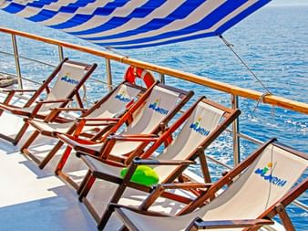 Reihe von Liegestühlen mit Mirabela-Logo auf dem Sonnendeck unter blau-weiß gestreifter Markise. Chromgeländer und ruhiges blaues Wasser im Hintergrund.