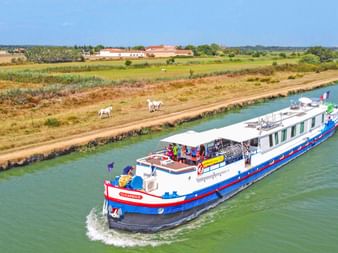 MS Caprice Flusskreuzfahrtschiff mit blauen und roten Streifen auf einem Kanal. Ländliche Landschaft mit Feldern und weißen Pferden am Ufer.