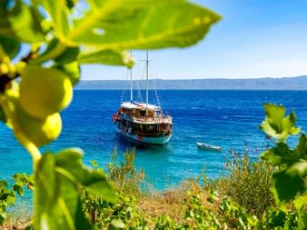 MS Aneta, ein hölzernes Segelschiff, ankert in kristallklarem türkisfarbenem Wasser. Blick eingerahmt von Zitronenbaumzweigen.