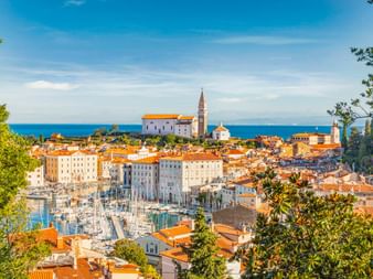 Panoramablick auf Piran, eine Küstenstadt mit Terrakottadächern, einem Yachthafen voller Boote und einem markanten Kirchturm, eingerahmt von Bäumen.