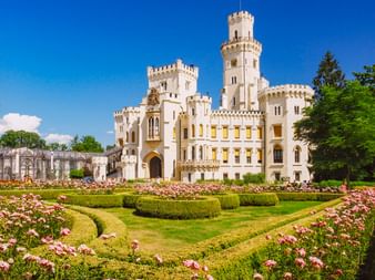 Weißes Schloss Hluboka nad Vltavou mit Türmen und Zinnen, umgeben von formalen Gärten mit rosa Rosen und gepflegten Hecken unter blauem Himmel.