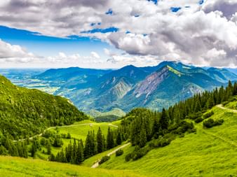 Panoramablick auf das Herzogstand-Gebirge mit grünen Almwiesen, dichten Wäldern und Wanderweg in Oberbayern bei Kochel am See.