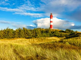 Rot-weiß gestreifter Leuchtturm Amrum ragt über Dünengras und grüne Bäume unter teilweise bewölktem blauen Himmel auf der Nordseeinsel.