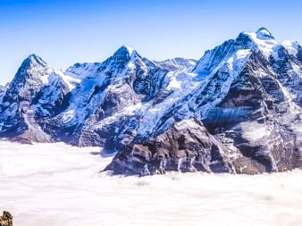 Panoramablick auf Eiger und Berner Alpen mit schneebedeckten Gipfeln, die über einem Wolkenmeer unter blauem Himmel aufragen.
