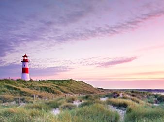 Rot-weiß gestreifter Leuchtturm auf grasbewachsenen Dünen bei Sonnenuntergang auf Sylt. Strandgras bedeckt Sandhügel unter rosa-blauem Himmel.