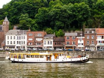 Weißes und gelbes Passagierschiff MS Miro auf Fluss mit historischen Ufergebäuden und bewaldetem Hang im Hintergrund.