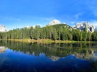Panoramablick auf die Drei Zinnen, die sich in einem ruhigen See spiegeln, umgeben von dichtem Nadelwald unter blauem Himmel.
