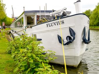 Weißes Flusskreuzfahrtschiff MS Fluvius am grasbewachsenen Flussufer vertäut. Zwei dekorative Anker hängen am Bug. Bäume säumen das Ufer.