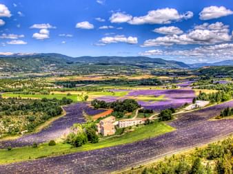 Luftaufnahme von lila Lavendelfeldern und einem Steinbauernhaus in der Provence mit Mont Ventoux Bergkette im Hintergrund unter blauem Himmel.
