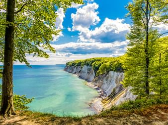 White chalk cliffs of Königsstuhl on Rügen Island framed by green beech trees, overlooking turquoise Baltic Sea under blue sky with clouds.