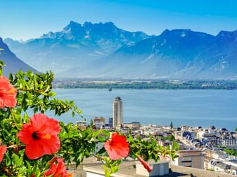 Blick auf Montreux am Genfersee mit rosa Hibiskusblüten im Vordergrund und schneebedeckten Alpengipfeln unter blauem Himmel im Hintergrund.