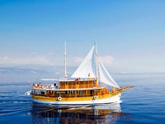 MS Planka, ein hölzernes Segelschiff mit gelbem Rumpf und weißen Segeln, fährt auf ruhigem blauen Wasser unter klarem Himmel mit Küste.