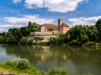 Mittelalterliches Schloss mit Steinturm und roten Ziegeldächern am Neckarufer in Lauffen, umgeben von grünen Bäumen unter blauem Himmel.