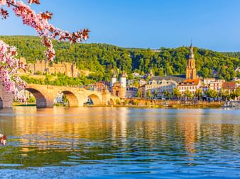 Heidelberger Schloss und Alte Brücke über dem Neckar mit Kirschblüten. Historische Altstadt mit Kirchturm und bewaldeten Hügeln unter blauem Himmel.