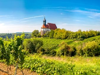 Kirche mit rotem Dach und Turm auf Hügel, umgeben von grünen Weinbergen bei Volkach. Sanfte Hügel und blauer Himmel mit Wolken im Hintergrund.