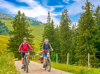 Two cyclists riding mountain bikes on a gravel path in the Allgäu region near Oberstaufen, surrounded by green meadows, conifer trees, and mountains.
