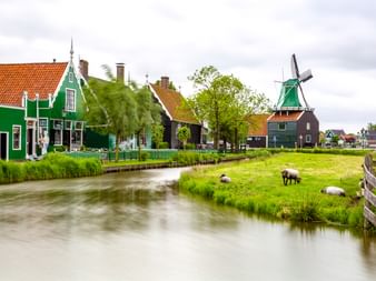 Grüne Holzhäuser und eine türkisfarbene Windmühle entlang eines Kanals in Zaans Schans. Schafe grasen auf grünen Wiesen neben dem Wasser.