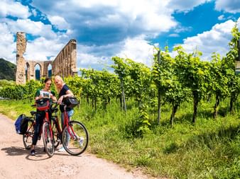 Zwei Radfahrer mit roten Rädern pausieren auf einem Weg neben grünen Weinbergreihen. Eine historische Steinruine mit Bogenfenstern steht unter blauem Himmel.