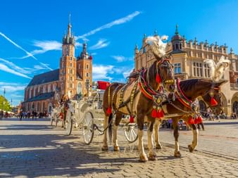 Weiße Pferdekutsche mit roten Verzierungen auf Kopfsteinpflaster in Krakau, mit Marienkirche und Tuchhallen im Hintergrund.
