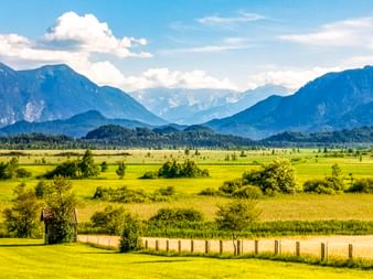 Grüne Wiesen und Moorlandschaft des Murnauer Moos mit vereinzelten Bäumen und Holzzaun. Blaue Bergketten unter bewölktem Himmel in Bayern.