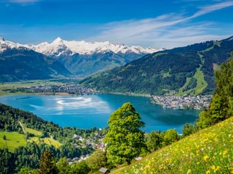 Panoramablick auf den Zeller See, umgeben von grünen Wiesen, Wäldern und schneebedeckten Alpengipfeln unter blauem Himmel mit gelben Wildblumen.