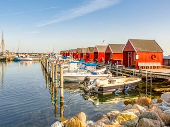Hafen Rødvig mit roten Holzbootshäusern auf Holzstegen, kleine Boote im ruhigen Wasser, Steine im Vordergrund, Segelboote im Hintergrund.