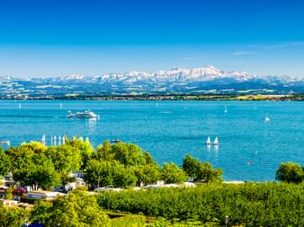 Blick auf den Bodensee von Hagnau mit Segelbooten auf blauem Wasser, grünen Weinbergen im Vordergrund und schneebedeckten Alpen im Hintergrund.