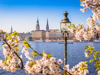 Blick auf die Hamburger Binnenalster mit historischen Gebäuden und Kirchtürmen, eingerahmt von weißen Frühlingsblüten und einer Laterne.