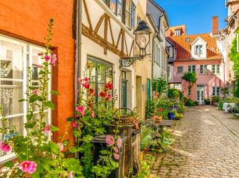 Kopfsteinpflastergasse in Lübecks Altstadt mit bunten Fachwerkhäusern, blühenden Stockrosen und traditioneller Architektur unter blauem Himmel.