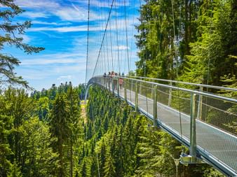 Hängebrücke am Baumwipfelpfad Bad Wildbad durch dichten Wald. Besucher gehen auf Metallsteg mit Seilgeländer.