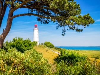 Weißer Leuchtturm mit roter Spitze auf der Insel Hiddensee, umgeben von grünen Wiesen und Bäumen, mit blauer Ostsee im Hintergrund.