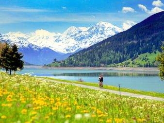 Radfahrer auf Weg am Reschensee mit Wildblumenwiese, schneebedeckten Alpen im Hintergrund unter blauem Himmel in Südtirol.