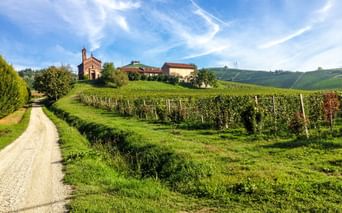 Schotterweg durch grüne Weinberge zu einer Backsteinkirche mit Glockenturm auf einem Hügel im Piemont, Ivrea. Hügelige Landschaft unter blauem Himmel.