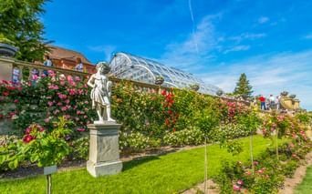 White marble statue on pedestal in rose garden on Mainau Island. Glass greenhouse and colorful roses visible under blue sky.