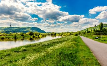 Asphaltierter Radweg entlang der Weser mit grünen Wiesen, ruhigem Wasser und Hügeln unter blauem Himmel mit weißen Wolken.